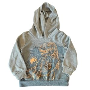 Jurassic Park Dinosaur hoodie